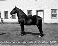 /i/Website2/Albert_de_St_Isadore.jpg